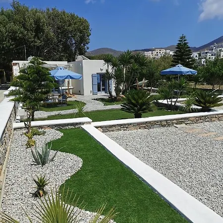 Amorgos Pearls
